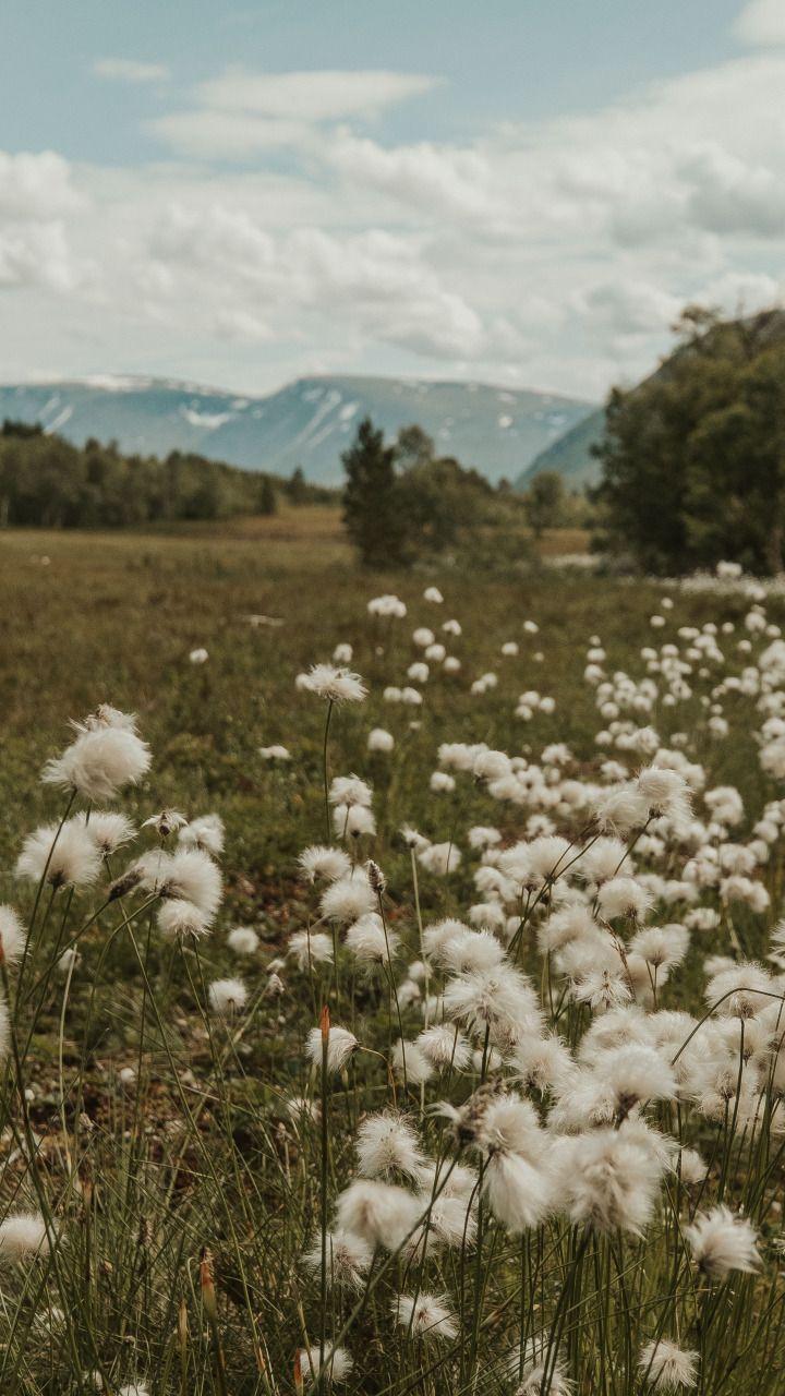 True Vector Works workshop space where corporate flower arrangements are designed and prepared for business delivery